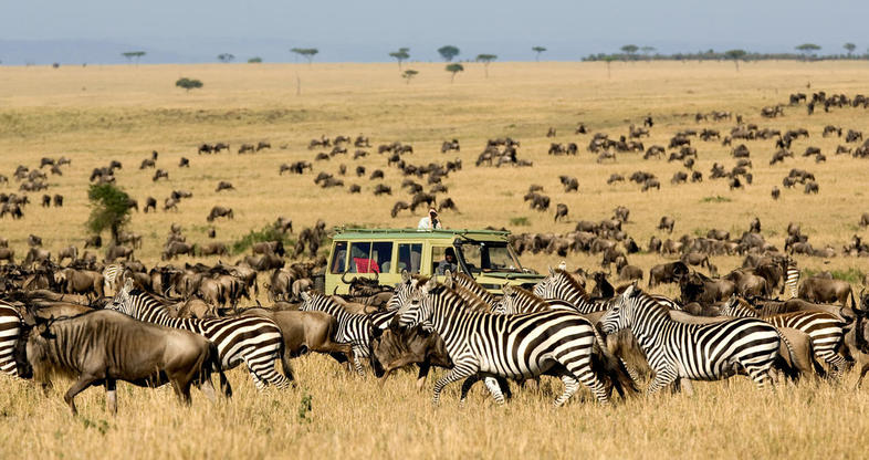 Our Safari Package