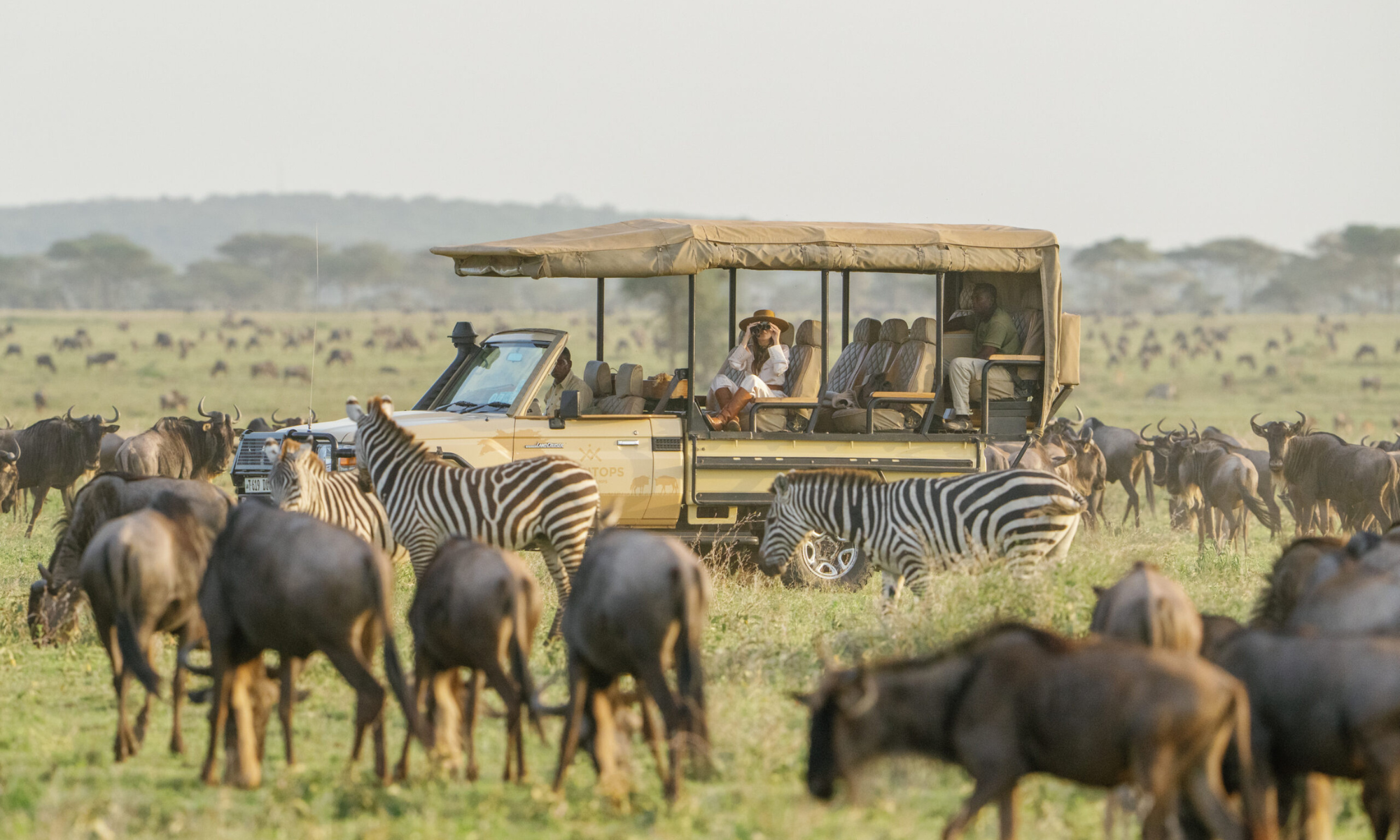 Serengeti Game Drive