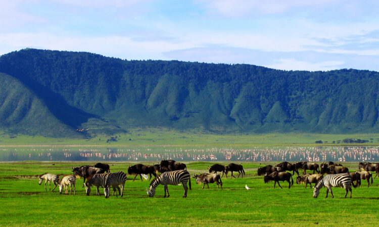 Ngorongoro Crater